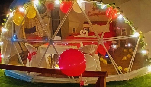 Room, Pets Allowed, Mountain View