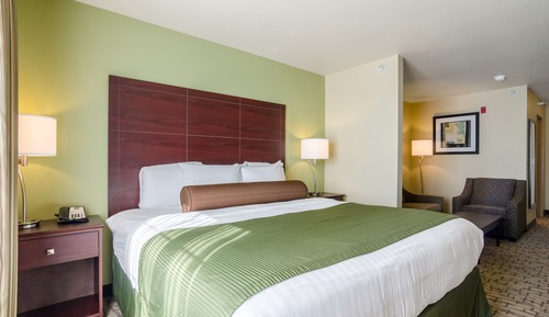 Studio Suite, 1 King Bed with Sofa bed, Non Smoking