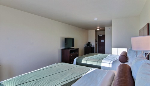 Studio, Multiple Beds, Non Smoking