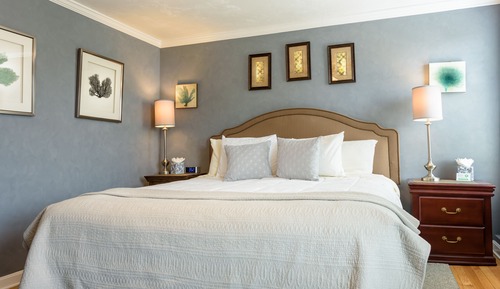 Deluxe Room, 1 King Bed (Room 14)