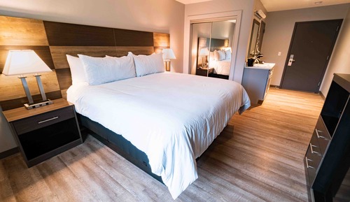 Deluxe Room, 1 King Bed, Refrigerator & Microwave
