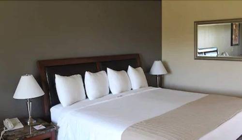 Room, 1 King Bed
