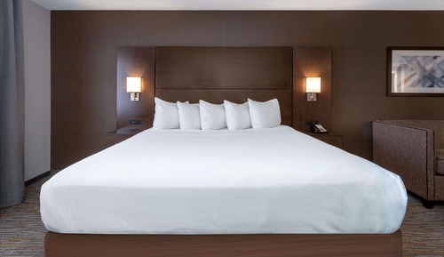 Room, 1 King Bed, Non Smoking (Mobility Accessible)