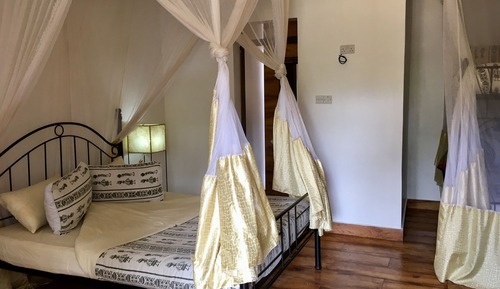 Family Bungalow, Private Bathroom, Pool View