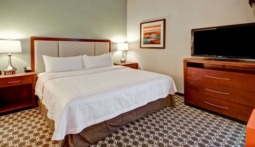 Studio, 1 King Bed, Accessible (Roll-in Shower)