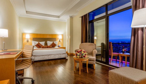 Business Room, 1 King Bed, Non Smoking