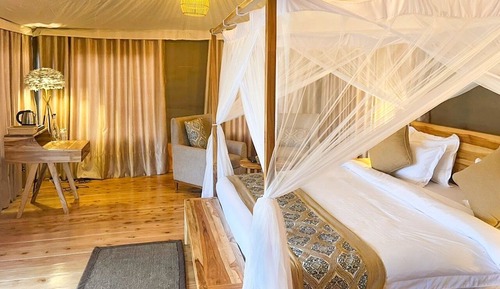 Room, Park View