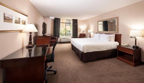 Deluxe Room, 1 Queen Bed, Non Smoking