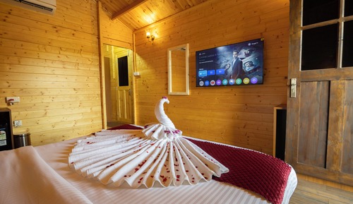 Luxury Double or Twin Room, 1 King Bed, Private Bathroom, Pool View