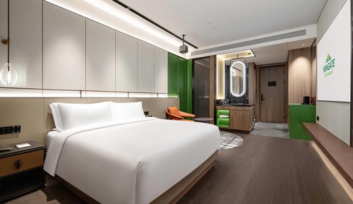 Room, 1 King Bed, Non Smoking (Movie)