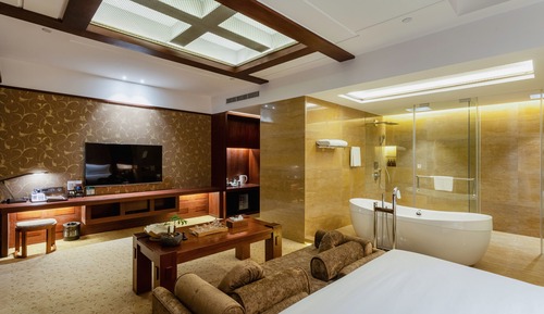 Executive Single Room, City View