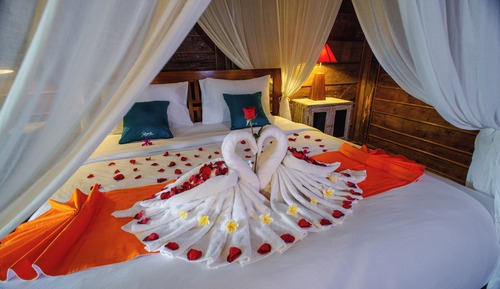 Double Room, Pool View
