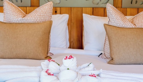 Deluxe Double Room, Pool View