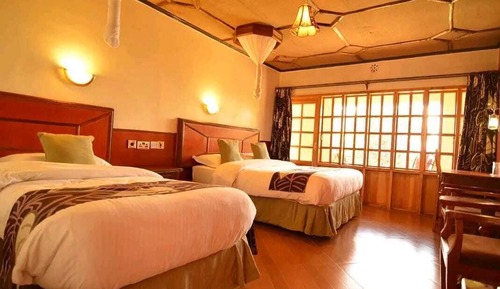 Deluxe Twin Room, Balcony, Park View