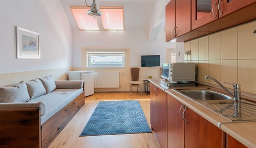 Superior Apartment, Non Smoking, City View