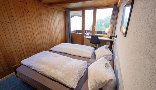 Basic Double Room, Balcony, Lake View