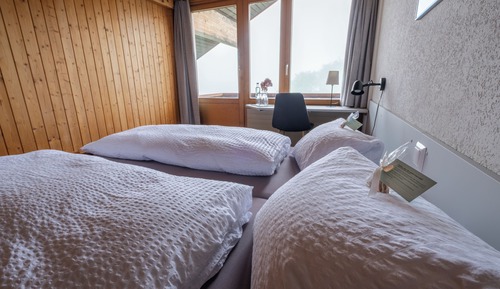 Basic Double Room, Balcony, Lake View