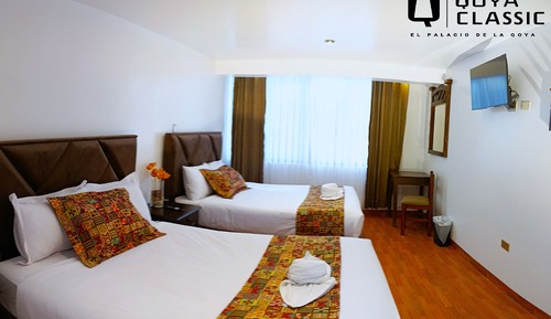 Comfort Single Room