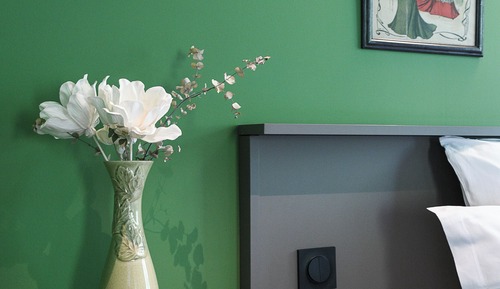 Double Room, Mobility Accessible, Lake View