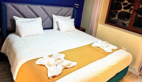 Room, 1 King Bed