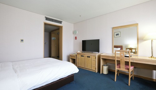 Standard Double Room, City View