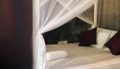 Deluxe Double Room, 1 Queen Bed, Garden View, Beachside