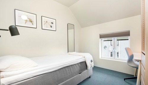 Basic Single Room