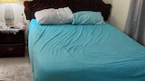 Basic Apartment