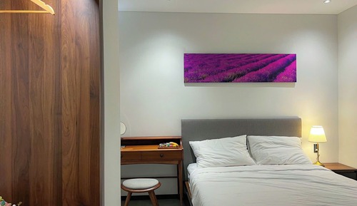 Basic Suite