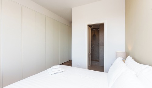 Deluxe Apartment, City View