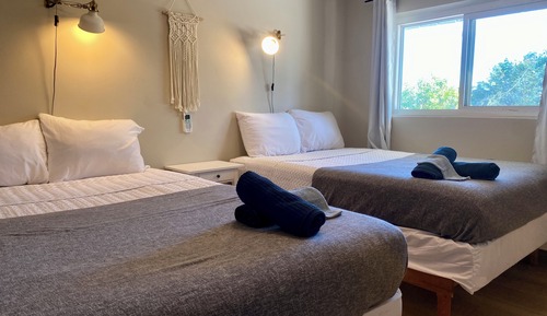 Classic Apartment, Multiple Beds, Kitchen