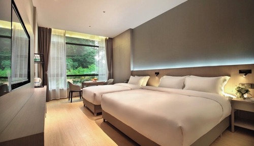 Luxury Twin Room, Mountain View