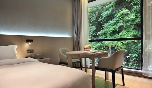 Luxury Room, Mountain View