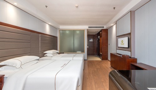 Superior Twin Room, City View