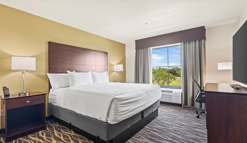 Room, 1 King Bed, Mobility Accessible, Non Smoking (Single King Accessible Guestroom)