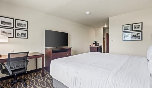 Room, 1 King Bed, Non Smoking (Single King Guestroom)