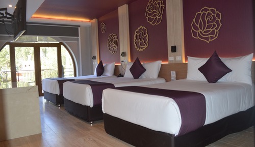 Standard Quadruple Room