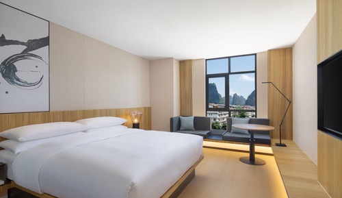 Standard Room, 1 King Bed, Mountain View