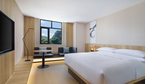 Superior Room, 1 King Bed, Mountain View