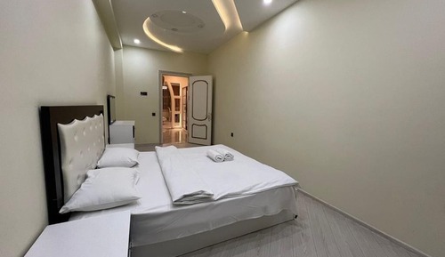 Basic Apartment