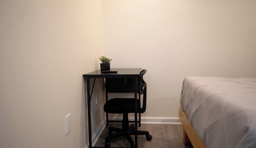 Basic Studio Suite