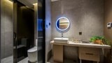 Comfort Single Room