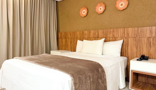 Deluxe Apartment, City View