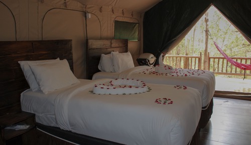 Tent, 2 Twin Beds