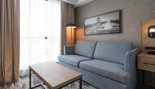 Standard Room, 1 King Bed with Sofa bed