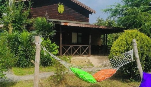 Grand Tree House, River View, Lakeside