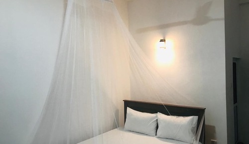 Basic Double Room