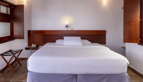 Room, 1 King Bed