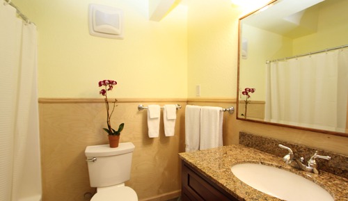Grand Cottage, 1 King Bed with Sofa bed, Kitchen, Garden View