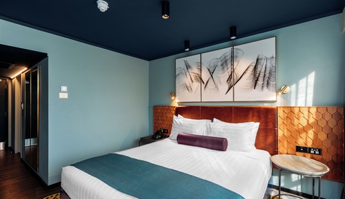 Oasis Room 1 King Bed